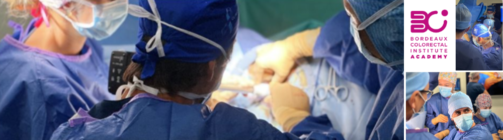 Immersion clinique